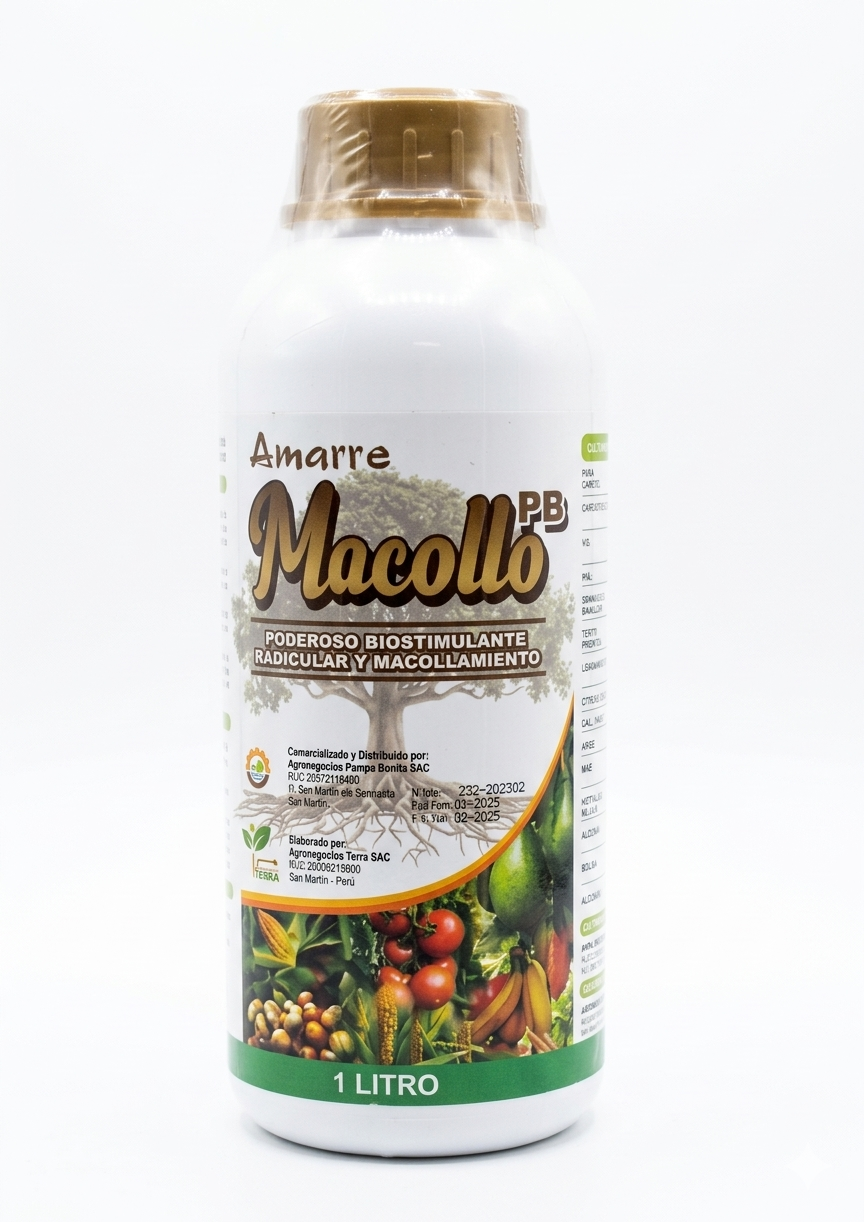 AMARRE MACOLLO PB